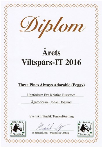 Årets viltspårs-IT 2016